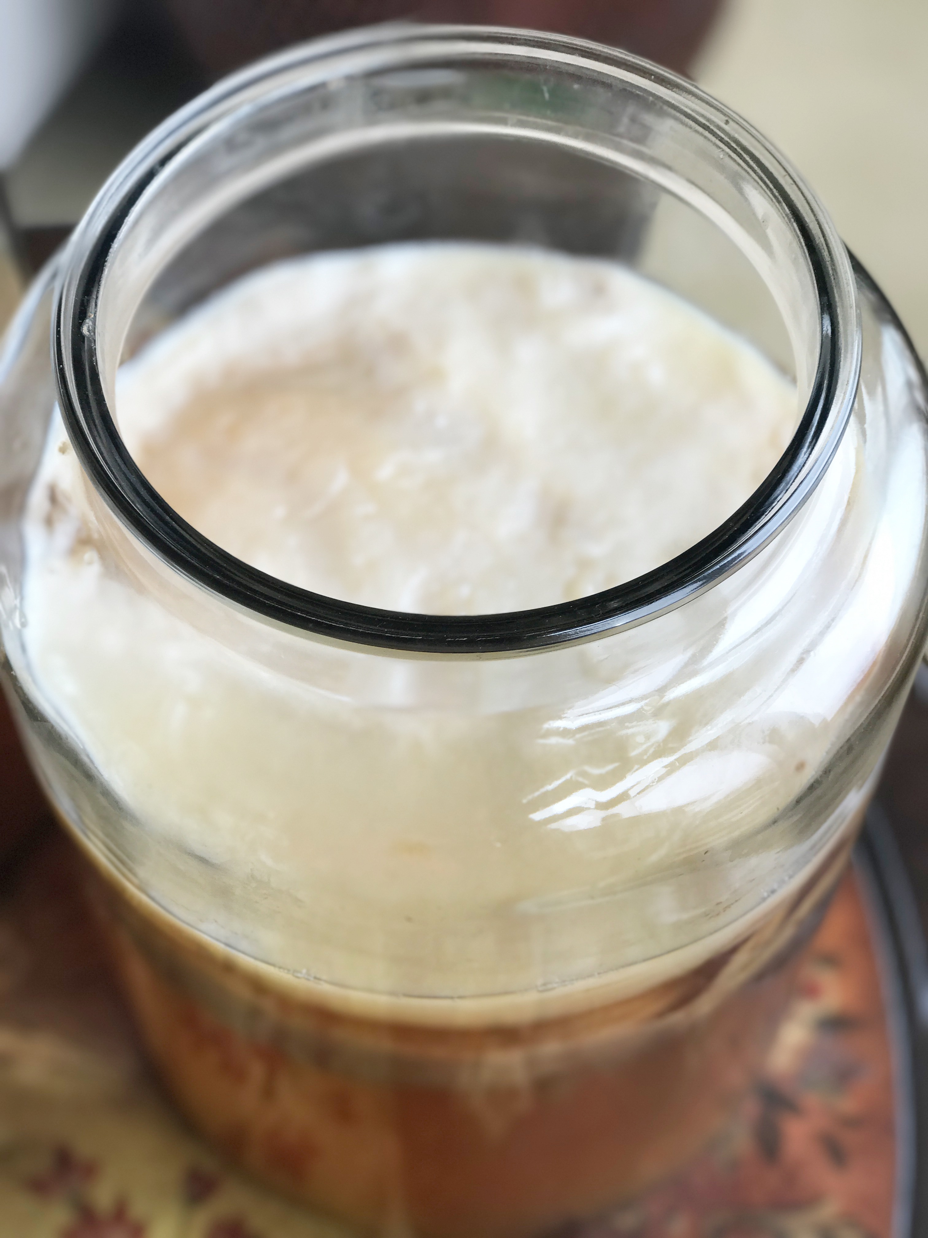 kombucha being made in a jar