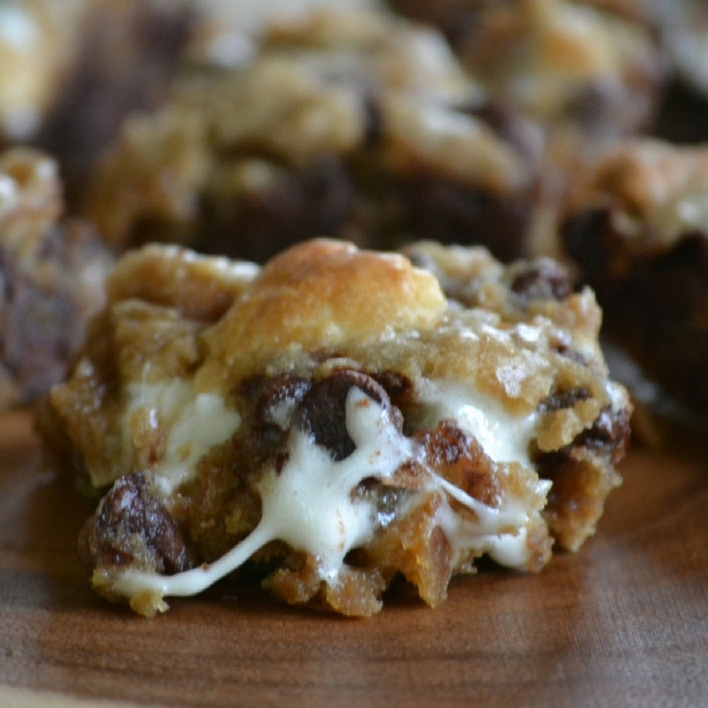 Chewy Gooey Smores Brownies Culinary Butterfly