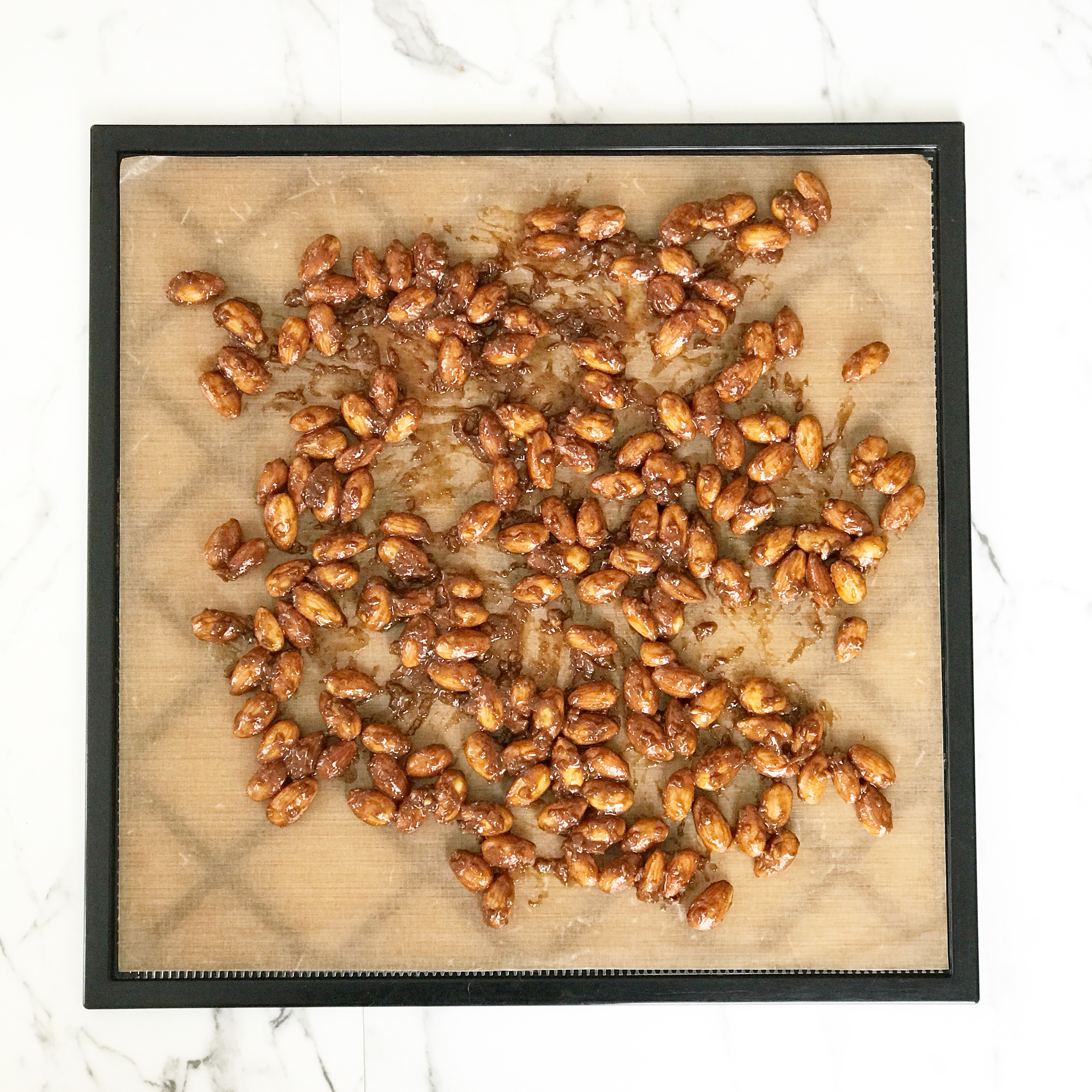 tamari ginger almonds dehydrator