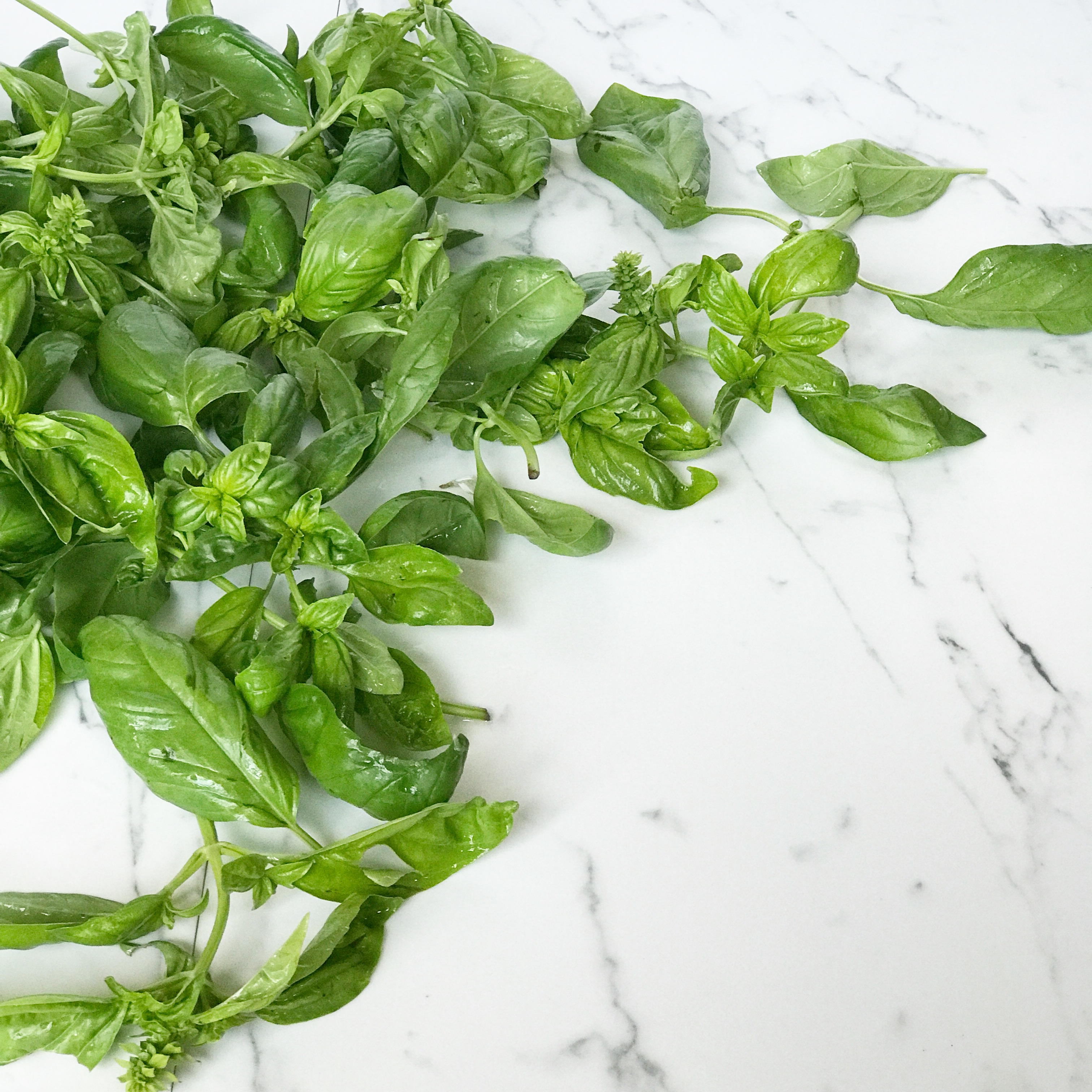 fresh basil leaves